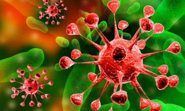 Chřipkový virus: Ilustrační snímek